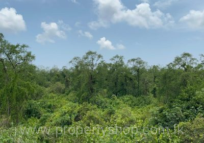 WhatsApp-Image-2025-08-21-at-8.37.01-AM-1