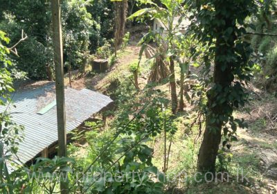 WhatsApp-Image-2025-09-24-at-9.19.19-PM