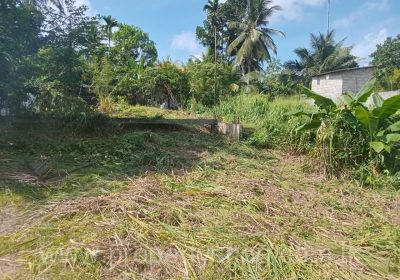 WhatsApp-Image-2025-10-04-at-2.28.26-PM