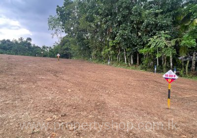 WhatsApp-Image-2025-10-05-at-6.49.19-PM-1